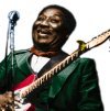 Muddy Waters