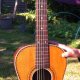 guitare de 1928, Supertone Lindbergh