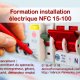 Formation installation Ã©lectrique norme NF C 15-100 du 12 au 16 octobre 2015