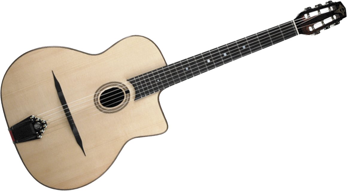 guitare manouche Paris swing cg39 avec Ã©tui