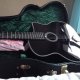 guitare manouche Gitane DG 330