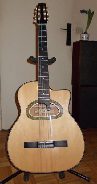 Guitare GITANE DG560 LULO REINHARDT 